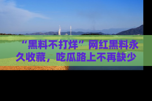“黑料不打烊”网红黑料永久收藏，吃瓜路上不再缺少惊喜与乐趣