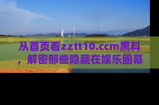 从首页看zztt10.ccm黑料，解密那些隐藏在娱乐圈幕后的丑闻故事！