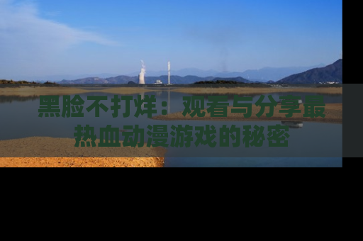 黑脸不打烊：观看与分享最热血动漫游戏的秘密