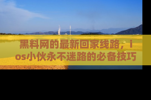 黑料网的最新回家线路，ios小伙永不迷路的必备技巧！