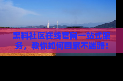 黑料社区在线官网一站式服务，教你如何回家不迷路！