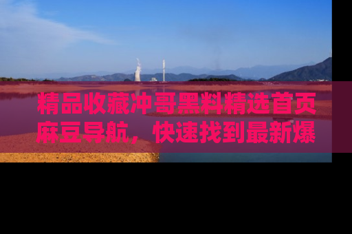 精品收藏冲哥黑料精选首页麻豆导航，快速找到最新爆料
