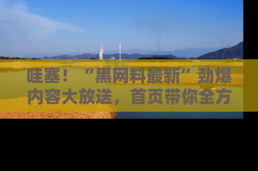 哇塞!“黑网料最新”劲爆内容大放送,首页带你全方位了解哦,小可爱们