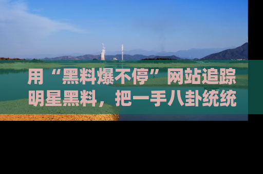 用“黑料爆不停”网站追踪明星黑料，把一手八卦统统收进你的后宫中！