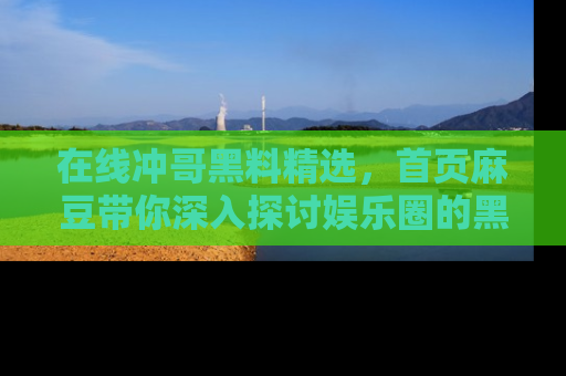 在线冲哥黑料精选,首页麻豆带你深入探讨娱乐圈的黑暗面