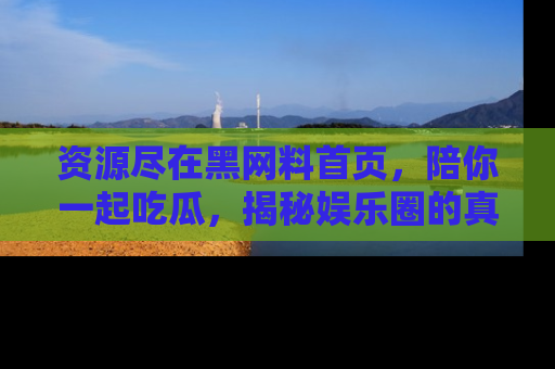 资源尽在黑网料首页,陪你一起吃瓜,揭秘娱乐圈的真实内幕