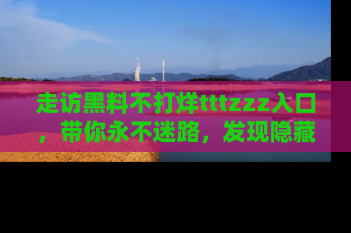走访黑料不打烊tttzzz入口,带你永不迷路,发现隐藏的黑幕